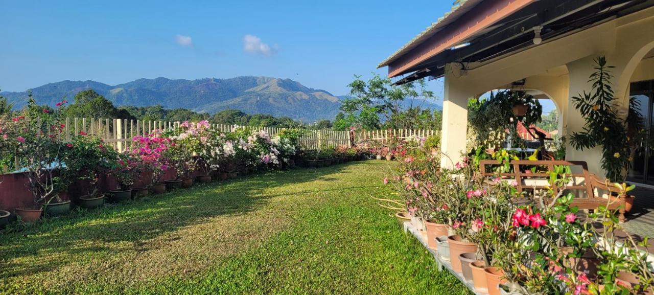 Mountain View Guest House Kb Kota Belud Eksteriør bilde